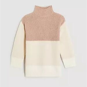 Ann Taylor Colorblock Tunic Sweater